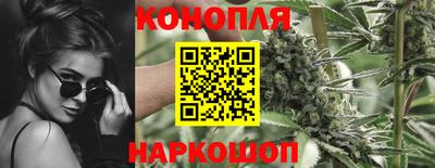 мдпв Моздок
