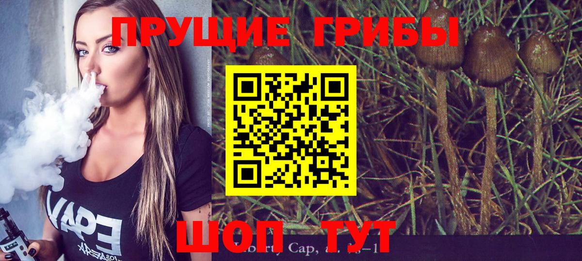 Галлюциногенные грибы Psilocybe  купить закладку  Алапаевск  Вход с VPN 