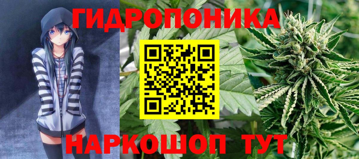 Каннабис OG Kush Алапаевск